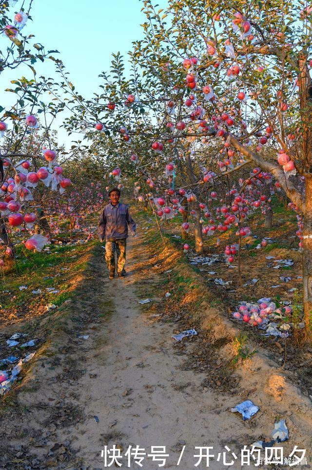 老李|打工和种地哪个挣钱多,看看这一家子就会明白