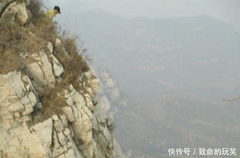  崖柏|带你走进深山的采崖柏人，有人靠它赚上亿，有人因此丧命，太珍贵