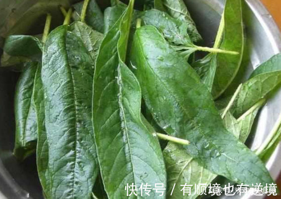 很多人把它当垃圾,我却拿它来做饺子,出锅后老公连吃40个不过瘾