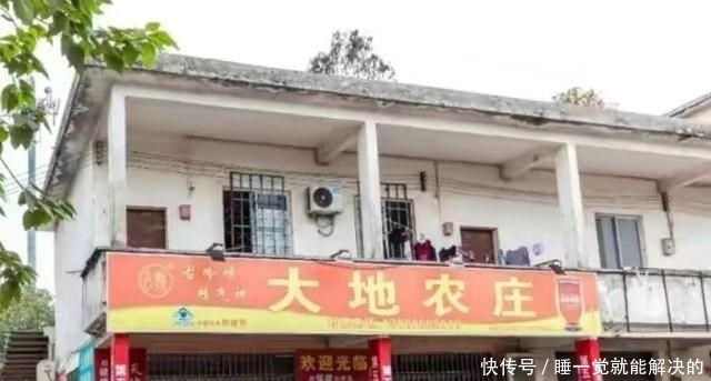 这家店|顺德这家开在破烂民居里的农庄,只凭一道醉鹅,引来食客无数