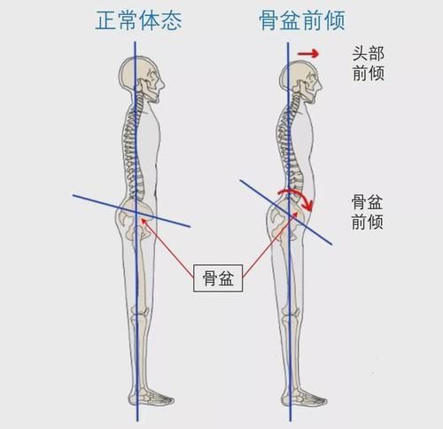 地面|这样练腹肌，比做1000个仰卧起坐都管用 ！！