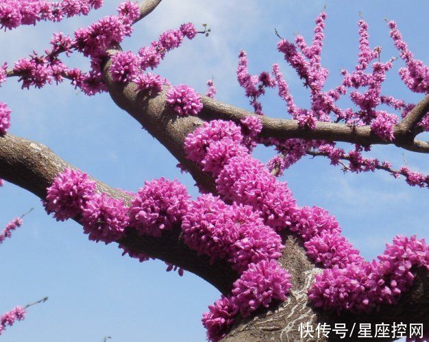 时辰|哪些时辰出生之人，乘风破浪，人生经历苦难后，福气在后头