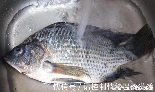 腥味|鱼腥最怕的是“它”,洗鱼时往里加一点,腥味轻松去除,鱼更鲜!