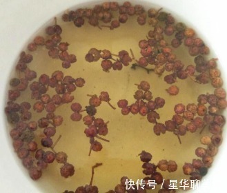 做猪肉馅儿饺子时，牢记“盐水油”口诀，鲜嫩多汁儿，香浓美味