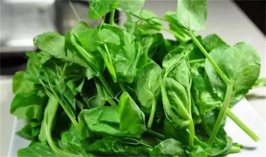 南瓜|人到中年想长寿，三种食物要多吃，滋肝排毒、补血润肤，早吃早好