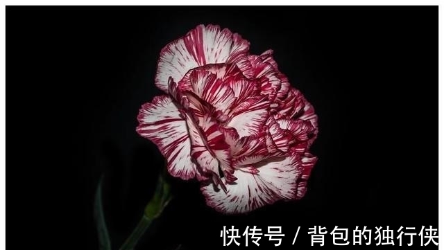 收获真爱余生幸福的3大生肖|缘分与桃花熬过风雨，收获真爱余生幸福的3大生肖！