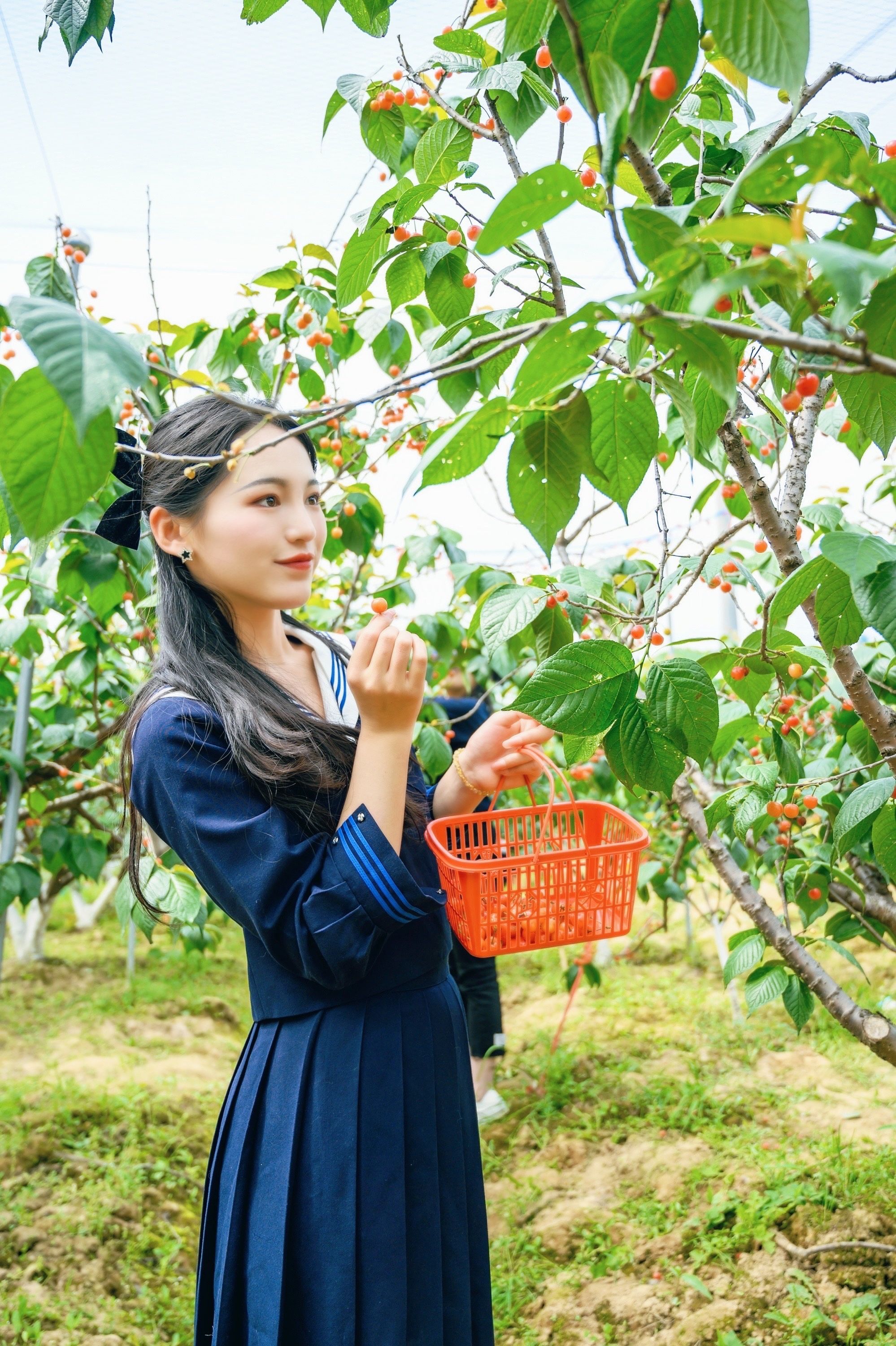 安吉田园嘉乐比乐园，杭州周边最值得去的亲子游目的地