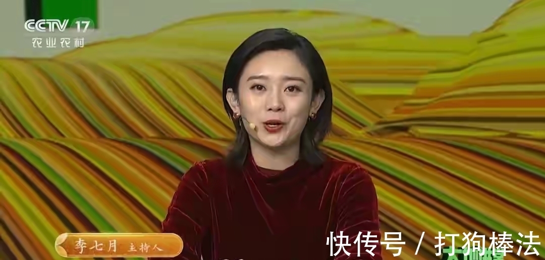 节目|《等着我》栏目中的美女李七月除了寻人，她还在哪里主持节目？