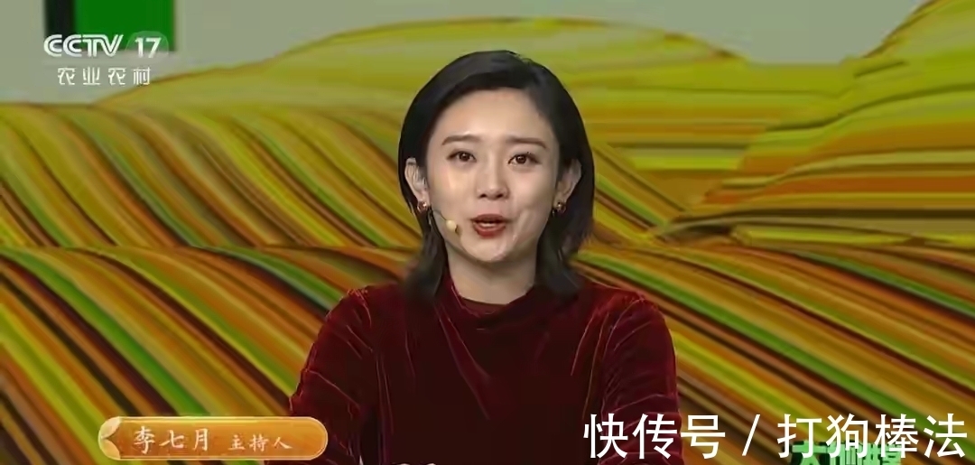 节目|《等着我》栏目中的美女李七月除了寻人,她还在哪里主持节目?