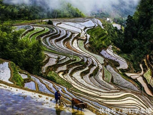 判刑|红军此役失利政委参谋长撤职判刑,代师长受处分,师长成开国少将