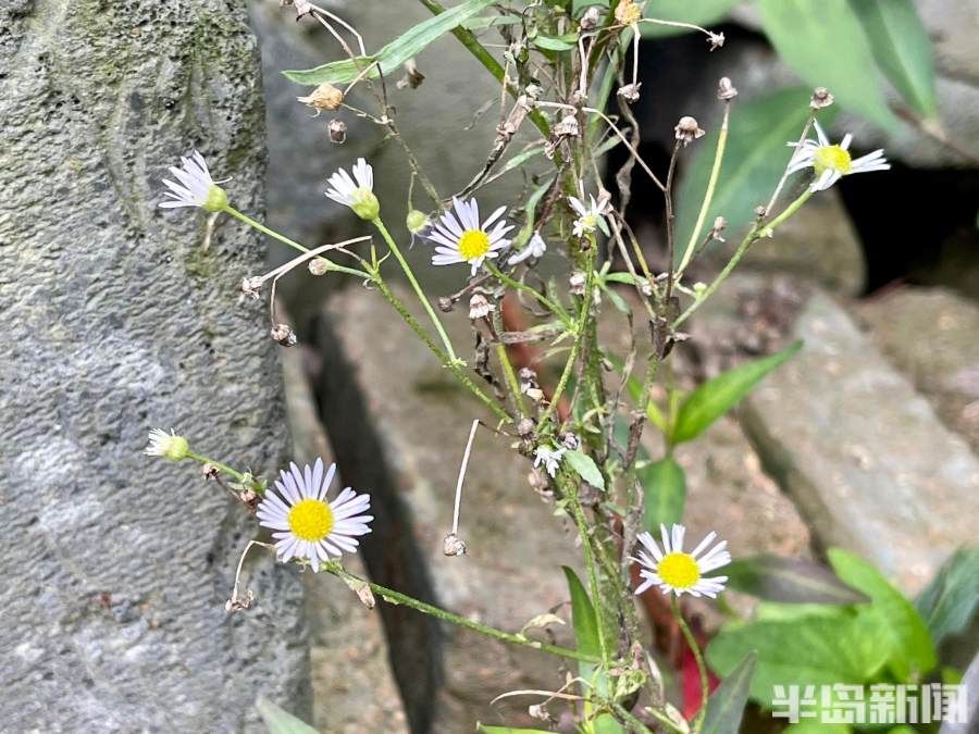 秋意|白露时节，秋意怡人！