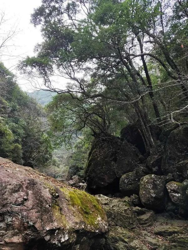 游记|吴长花：芎坑峡谷游记