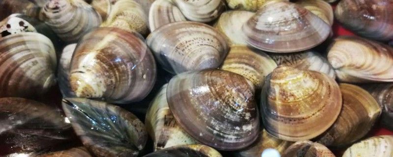 蛤蜊油擦脸有没有坏处