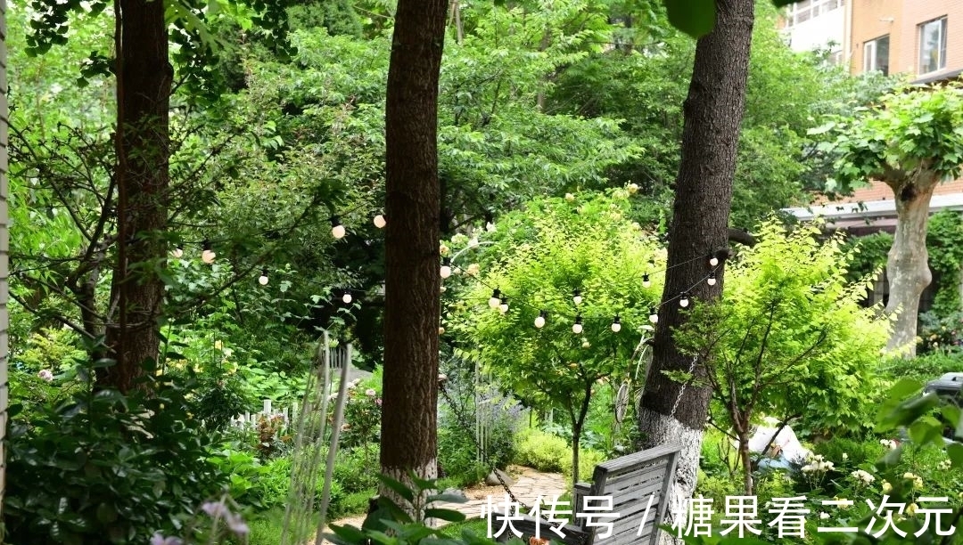 王俐|服装设计师兼花园设计师,裁剪最美的花园时光