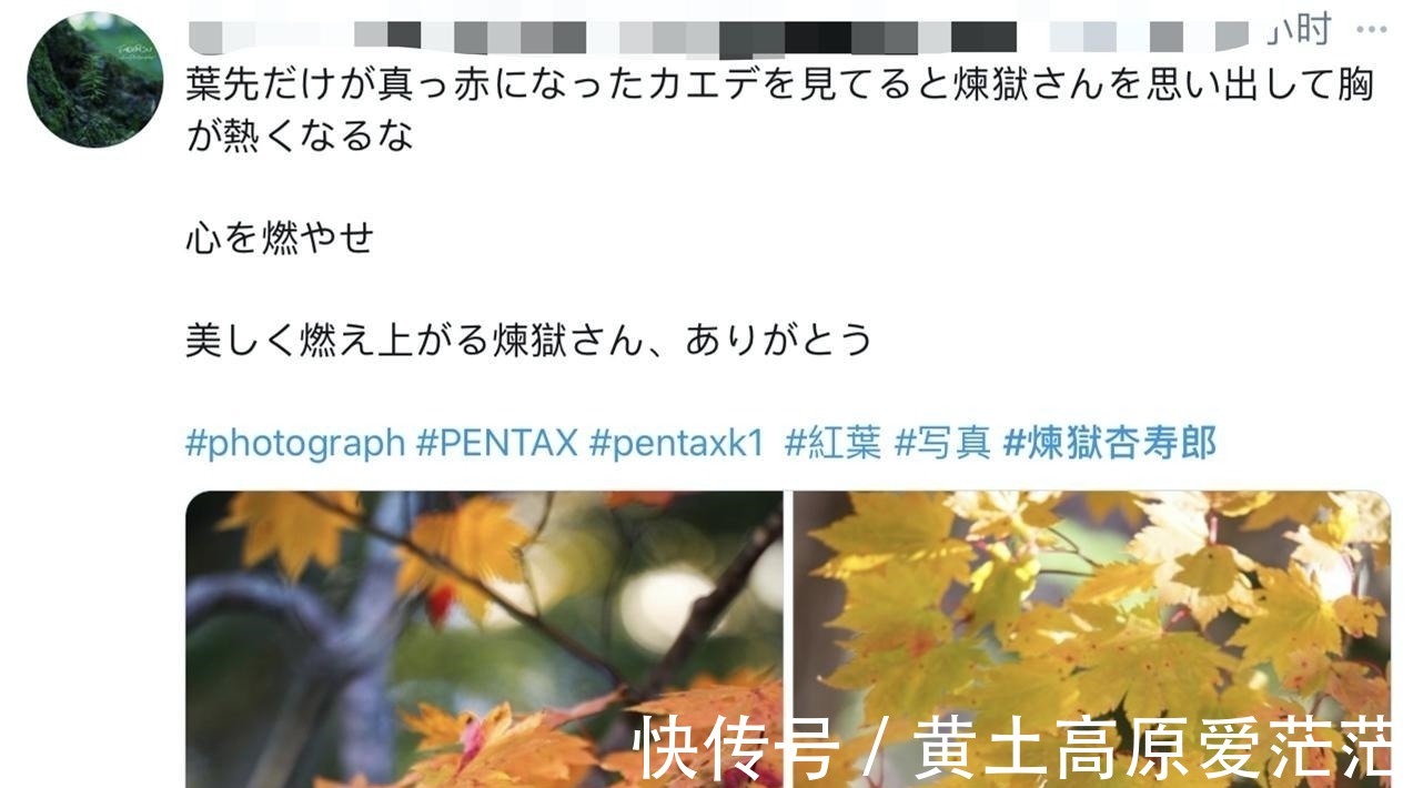 小哥|日本全民都在cos鬼灭之刃!木村拓哉也加入?这个炎柱太像了