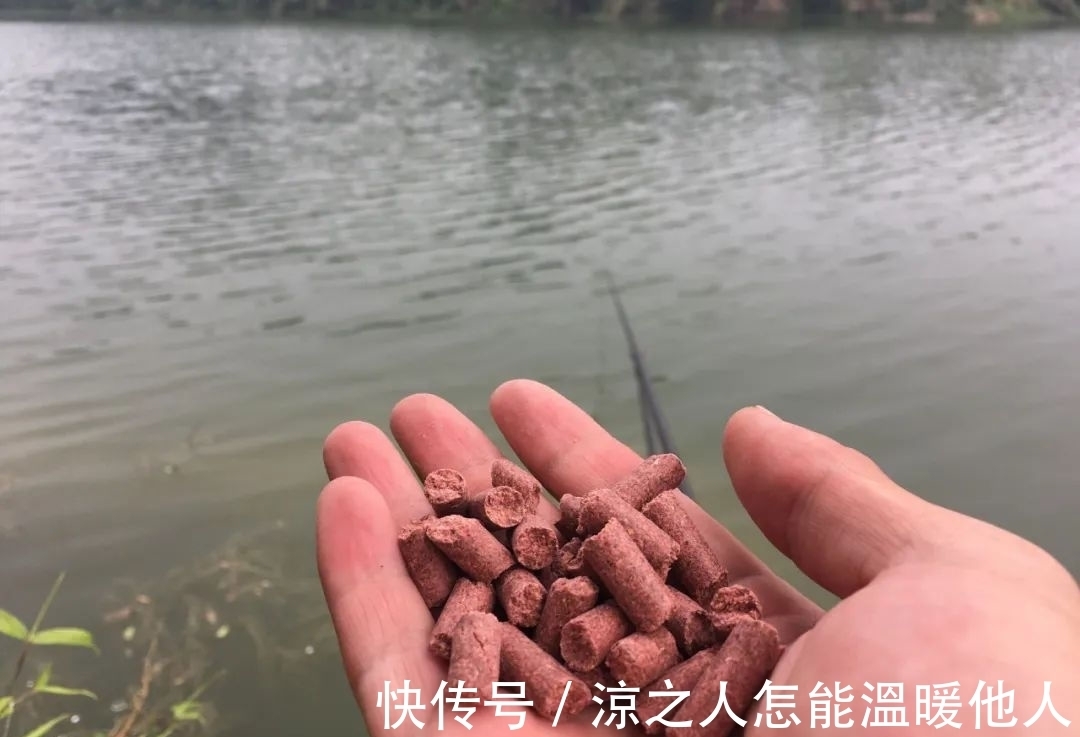 目数|带饵调平水,你得学会这样调才能更准