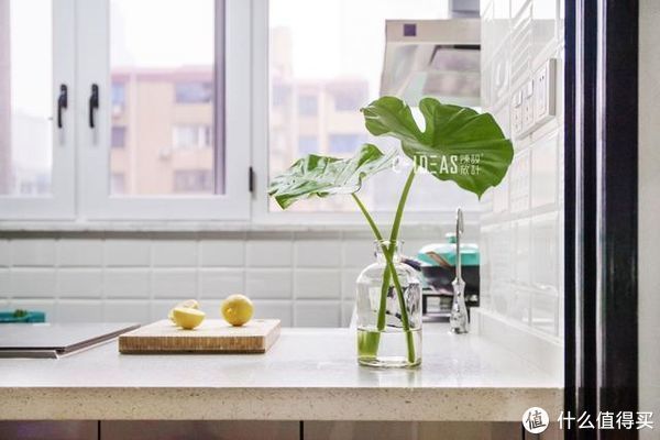 家政区|坚持摒弃阳台，两室改三室，她将99㎡家利用到极致，太有智慧了！