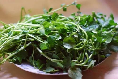 化痰止咳|秋季易咳嗽痰多,常吃此菜,每周两次,能清燥润肺、化痰止咳