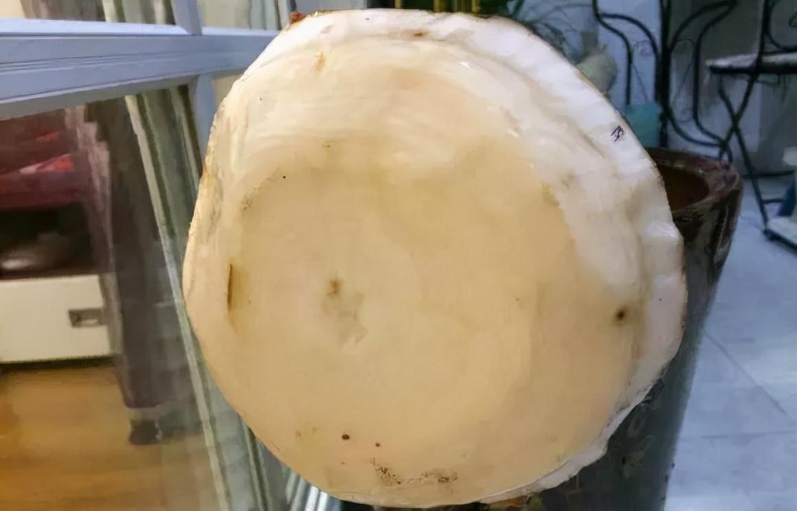 别人把枯树都扔了,捡回来一顿大刀,30天撑起一个客厅