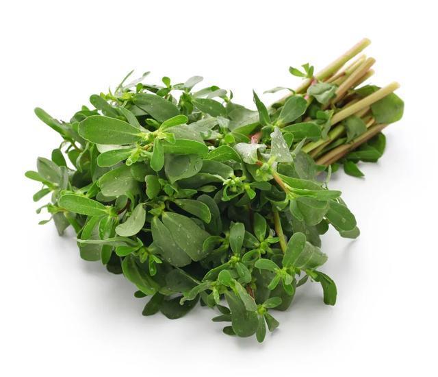 gt|春天最该吃的3种菜，清热解毒、补肝养血！全家越吃越健康