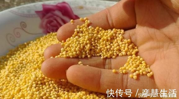 增强记忆|家里有小孩的,6种食物经常吃,增强记忆力,大脑更聪明