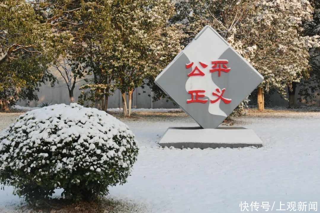 上海域外“飞地”的高墙雪景