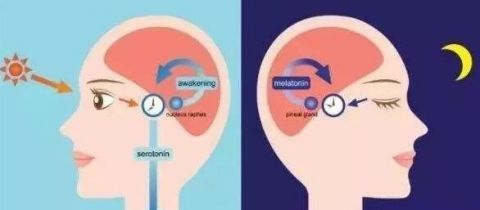 不孕不育|网红褪黑素或致不孕不育90后睡眠困难户那我怎么办