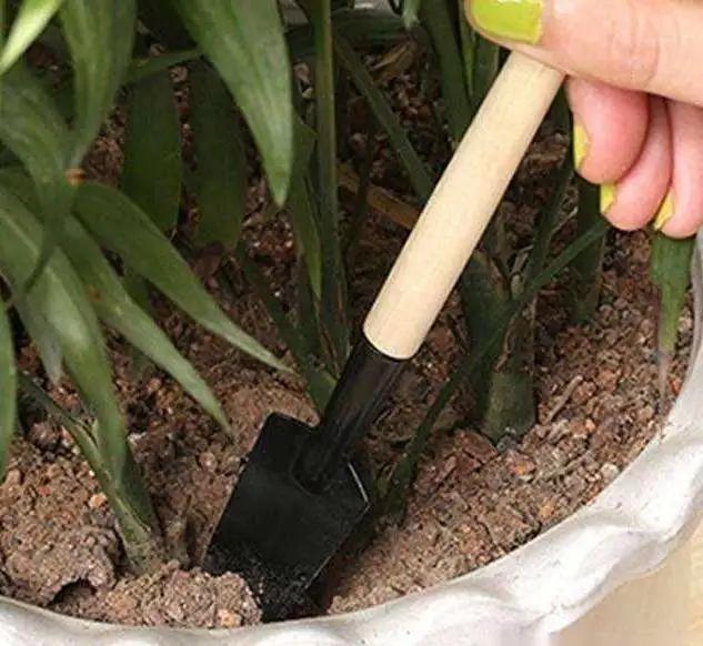 养花不是只浇浇水这么简单,不知道这些养花技巧,花养不好!