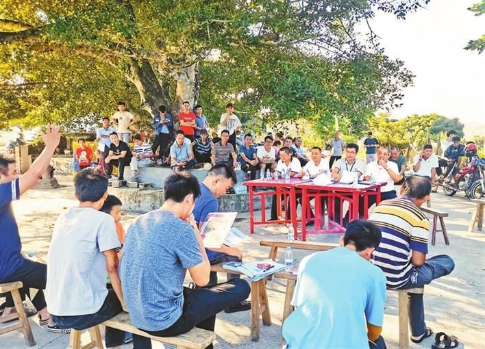 土地|深汕特别合作区全力决战土地整备攻坚