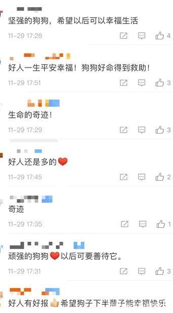 好感人|云南一小狗被困50米深洞6年，救援队花14天将其救出：靠村民投喂活到现在