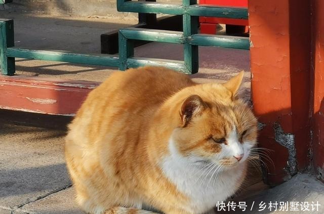 龙藏寺碑|河北正定一座寺庙，没有大门，还藏着六大中国之最，真大胆！