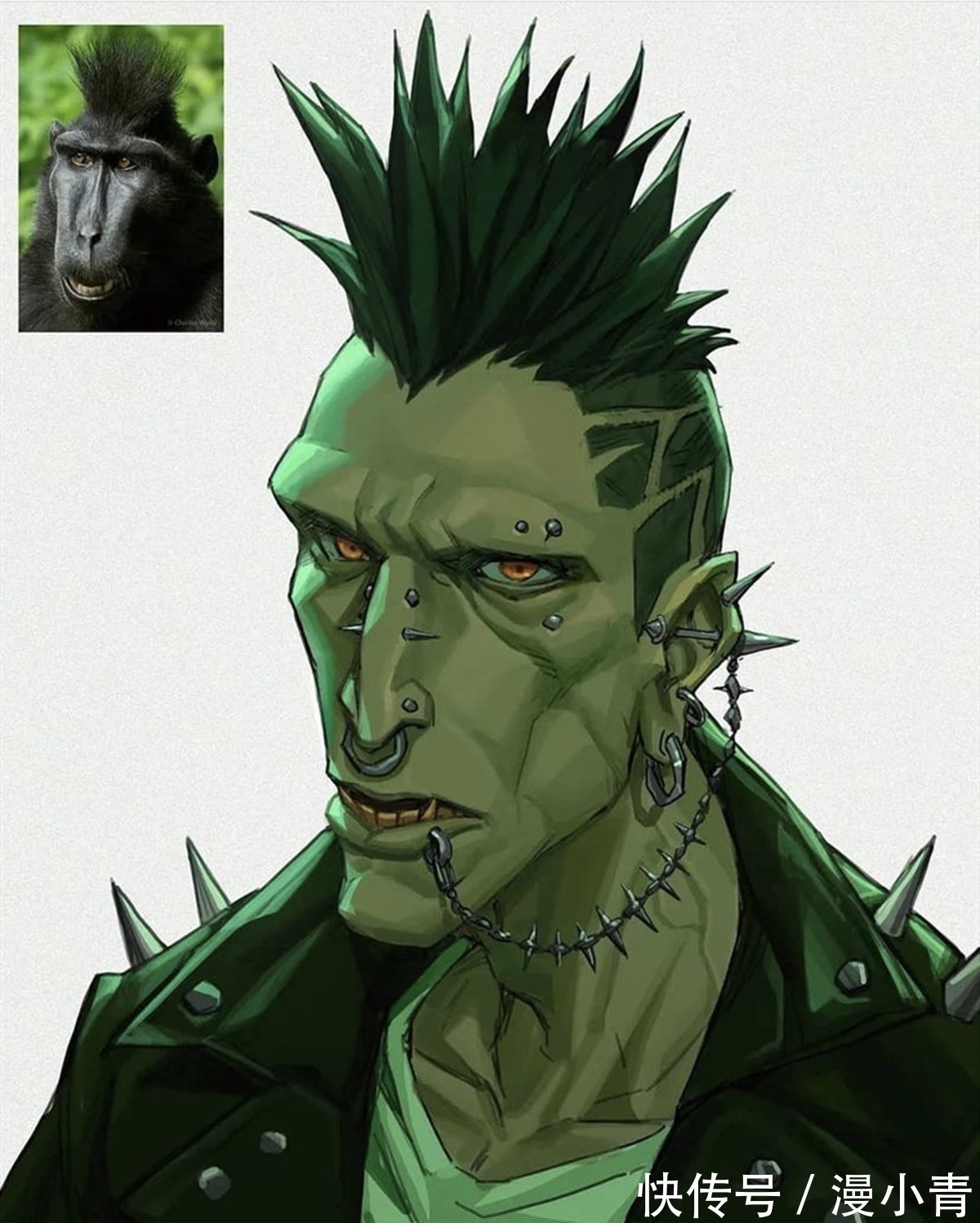 空想象|动物二次元化之后也有高颜值代表,就看画师的心情怎么样了