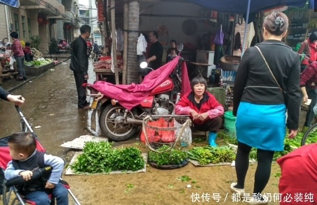 集市有种野菜价格贵过猪肉，农村大姐一上午摘100斤不愁卖