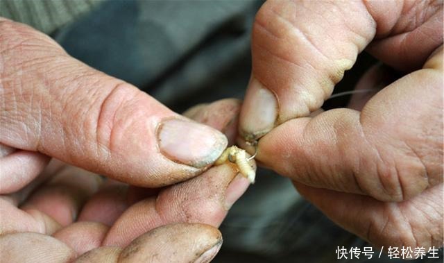 排斥|不是揭底,也不是排斥,我只想对网购便宜子线组说两句掏心窝子话