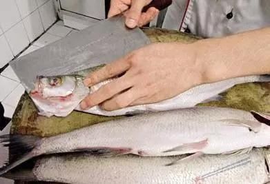 底味|去了南方必然有一道长江白鱼 前期腌制入底味非常关键