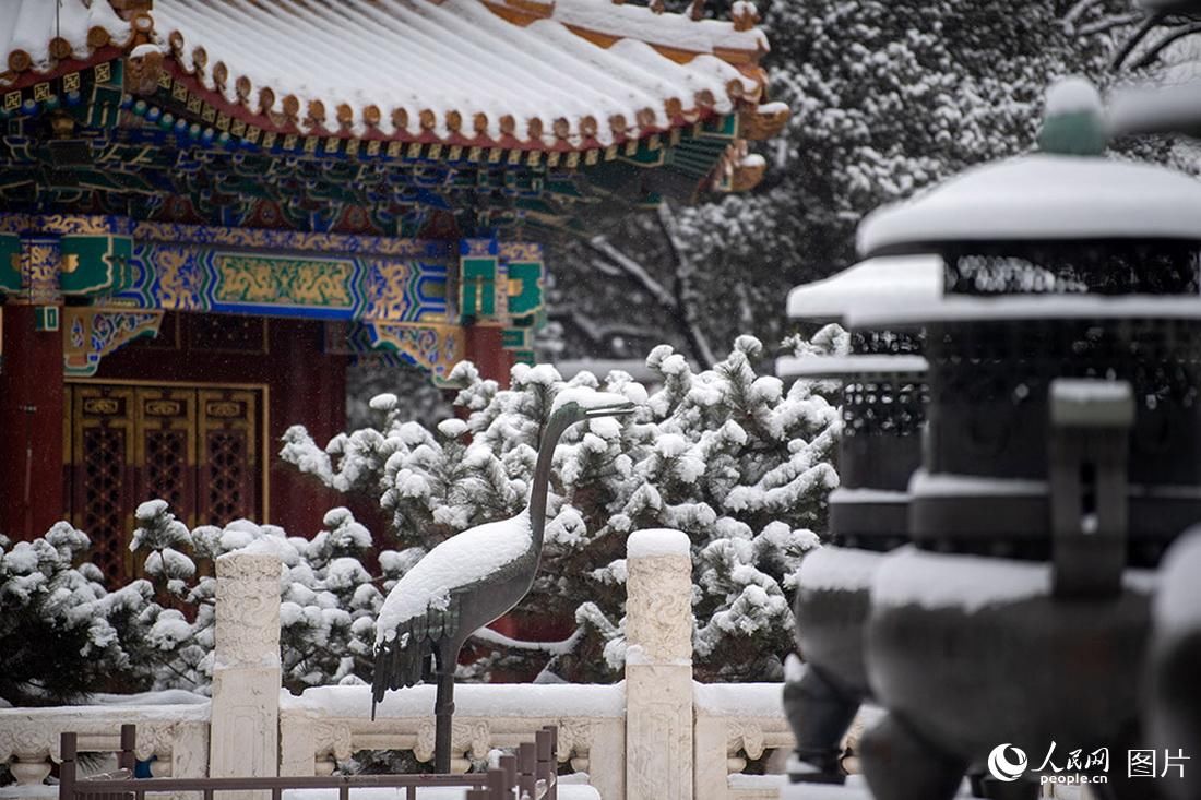 人民网|北京迎来虎年首场大雪