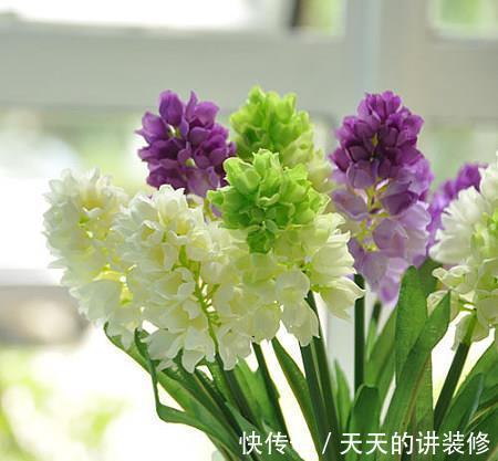 茉莉花|农历8月2日过后，家养4种“小花”，花开漫天，花香沁人心脾