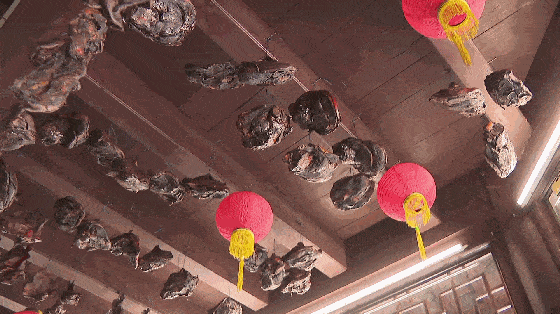 苏城冬补酱肉开腌哉！古法七石缸藏百年秘方！