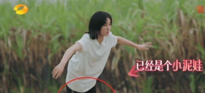 節目|明星綜藝干活被質疑，當鏡頭掃過張子楓褲腿后，網友：一目了然