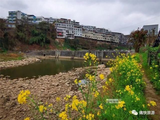 内自边界行——漫步威远河畔的油菜花田