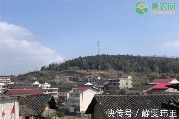 补贴|农村户口没有宅基地怎么办申请宅基地需要满足什么条件