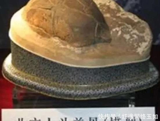 阿波丸|二战时“阿波丸号”上的日本人为何“集体自杀”？