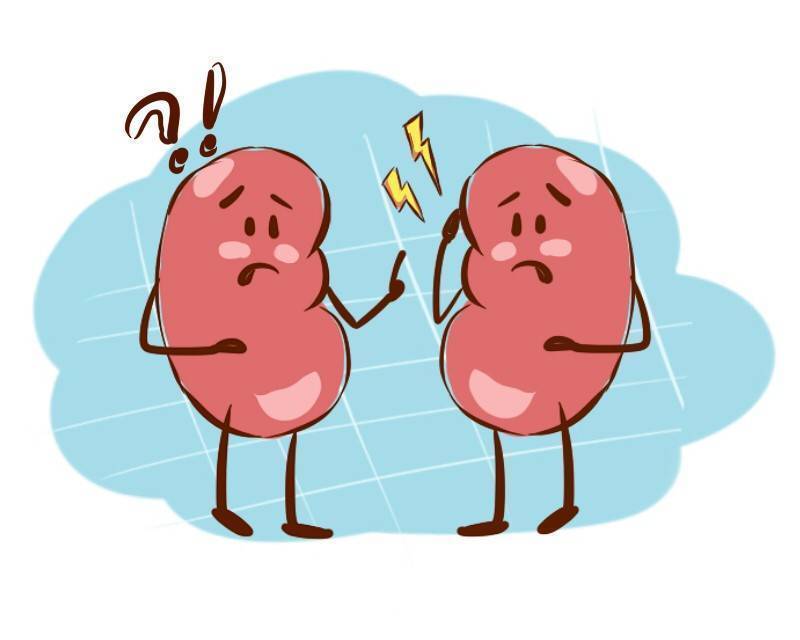 肾癌|《小敏家》陈卓被查出肾癌?早期这2个现象,劝你最好要重视起来