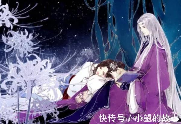 古言|5本古言虐文,助夫君争夺天下,却换来他的二十年冷宫禁锢