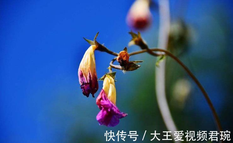 多言|一个人越来越走下坡路的两个征兆，大多是这两个字