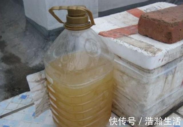 发酵|养花发酵肥水时间太久，教你1个“小技巧”，20多天就能用