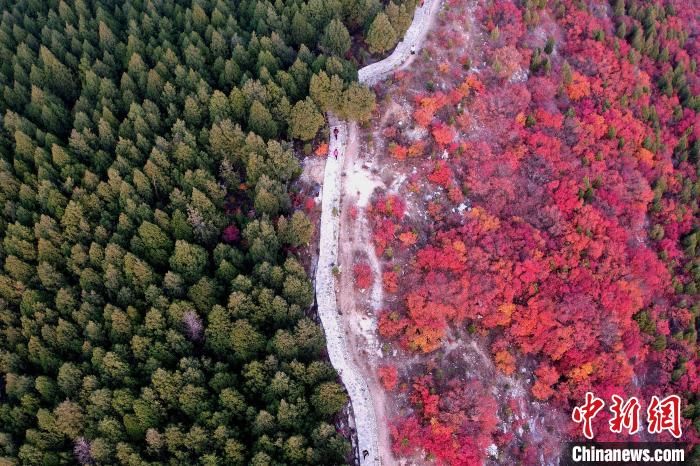 打卡|山东济南“半边翠绿半边红”蝎子山成“网红”打卡地