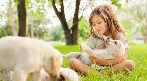 好习惯|留给孩子金山银山,不如从小培养孩子4个好习惯,非常重要