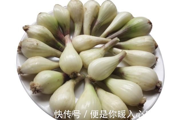 五花肉|它是“菜中灵芝”,消食健脾,越吃越想吃,韭菜荠菜靠边站