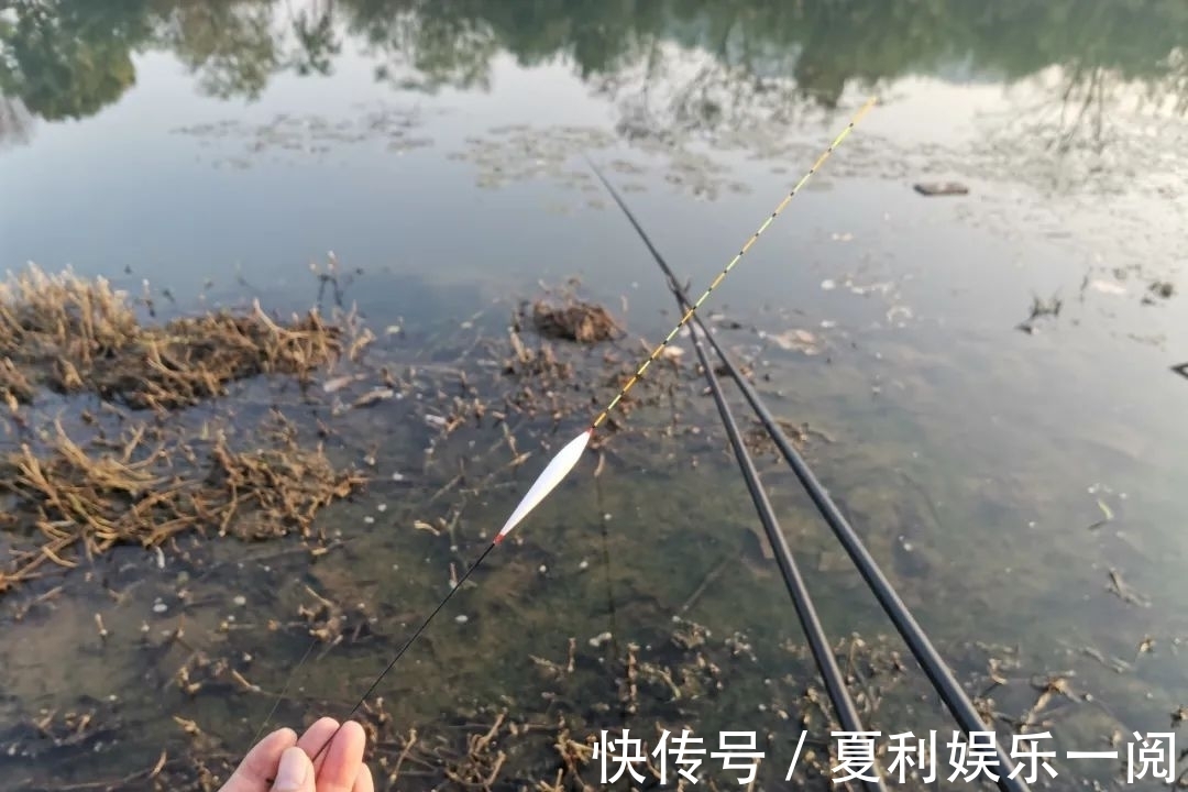 冬钓鲫鱼7个常见问题,早知道答案,也不会三天两头空军了